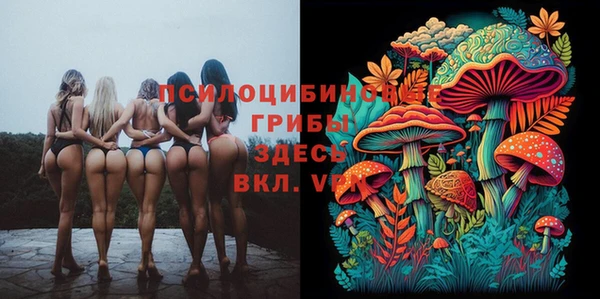 дживик Валуйки