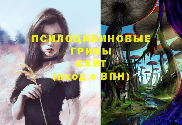 ГАЛЛЮЦИНОГЕННЫЕ ГРИБЫ Арсеньев