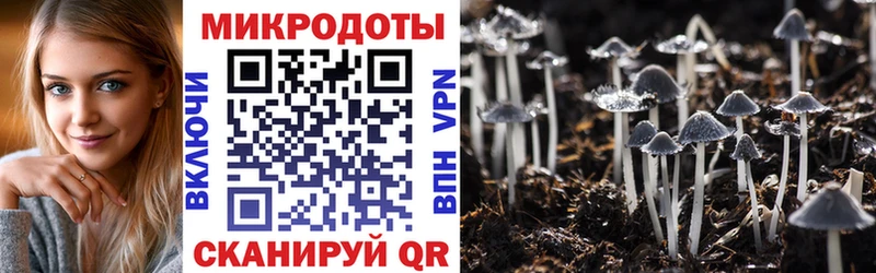 Псилоцибиновые грибы MAGIC MUSHROOMS Асбест